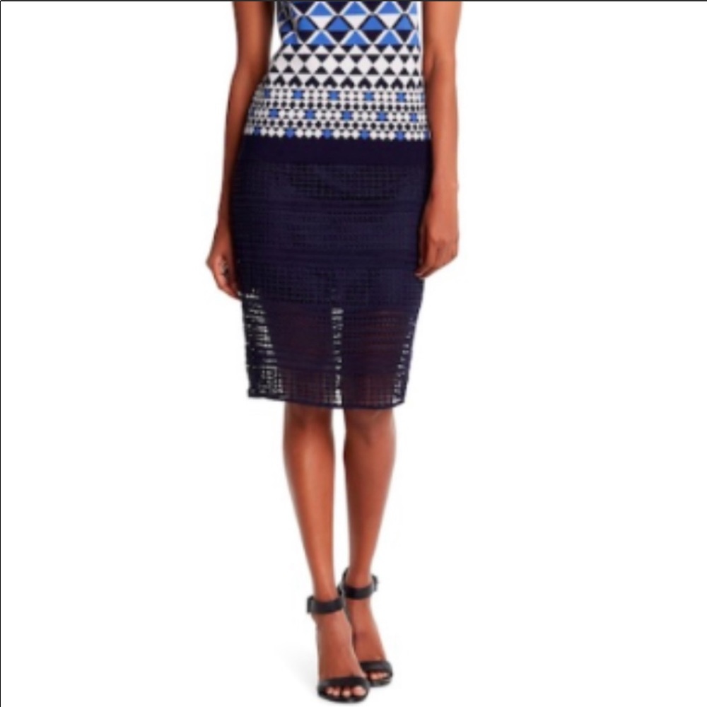 Cupcakes and Cashmere Blue Derry Skirt